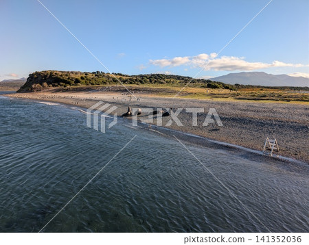 Small Sea Lion Group in Wide Patagonian Coastal Landscape Small Sea Lion Group in Wide Patagonian Coastal Landscape 141352036