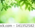 新綠色的季節 141352582
