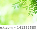 新綠色的季節 141352585