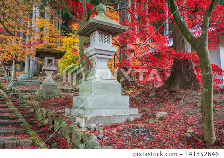 【清水寺】日本文化世界【長野市】 【清水寺】日本文化世界【長野市】 141352646