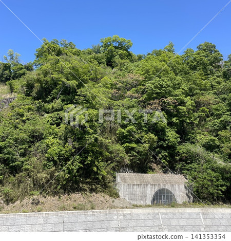 A landscape of lush green forests and a blue sky. 141353354
