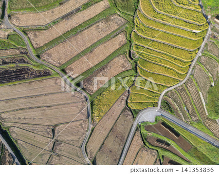 Rice terrace of Oniki Rice terrace of Oniki 141353836