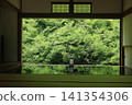 安國寺及綠色吊鐘 141354306