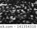 在樹葉的陰涼處 141354310