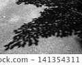 在樹葉的陰涼處 141354311