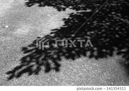 在樹葉的陰涼處 在樹葉的陰涼處 141354311