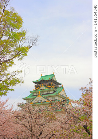 Osaka City, Osaka Prefecture: A view of cherry blossoms and Osaka Castle. Osaka City, Osaka Prefecture: A view of cherry blossoms and Osaka Castle. 141354340