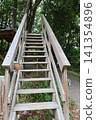 Stairs in the forest 141354896