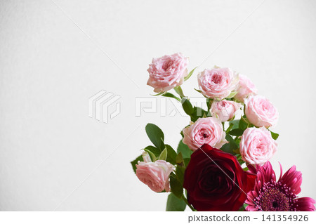 玫瑰和非洲菊 玫瑰和非洲菊 141354926