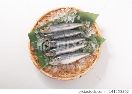 [Chiba Prefecture] Japanese sardines, scales removed. 141355202
