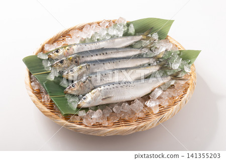 [千葉縣] 日本沙丁魚，去鱗。 141355203