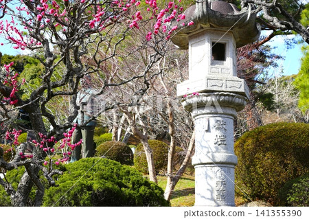 石燈籠和梅花 石燈籠和梅花 141355390