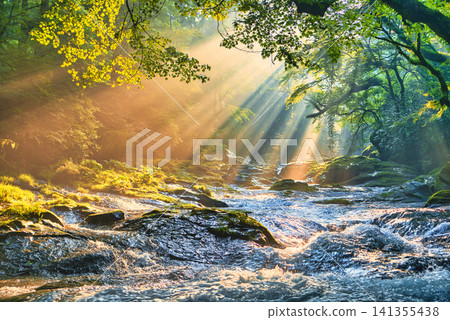 Beautiful light rays in Kikuchi Valley Beautiful light rays in Kikuchi Valley 141355438