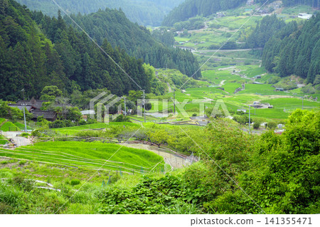 View from the Yotsuya Senmaida Observation Deck, Shinshiro City, Aichi Prefecture 141355471