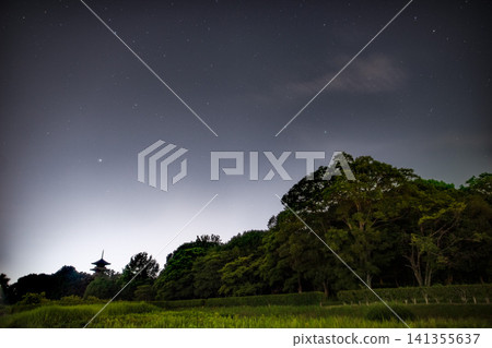 A silent forest and a sky full of twinkling stars. A silent forest and a sky full of twinkling stars. 141355637
