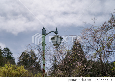 Retro streetlights, cherry blossoms, spring, blue sky, Japan, park lighting, classic design. Retro streetlights, cherry blossoms, spring, blue sky, Japan, park lighting, classic design. 141356323