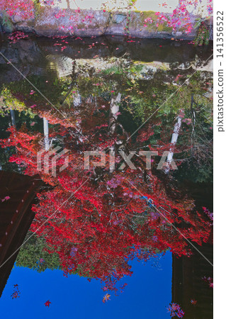 秋葉火紅的景象倒映在水面上,美不勝收。 秋葉火紅的景象倒映在水面上,美不勝收。 141356522
