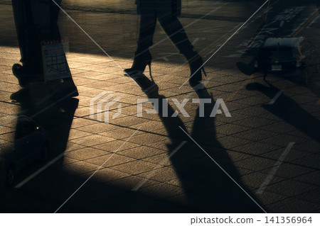 Shadows cast on the park floor illuminated by the setting sun 141356964