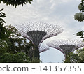 濱海灣的天空與花園 141357355