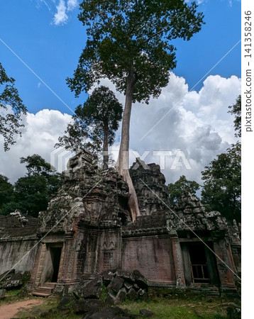 Angkor Wat Ta Prohm 141358246