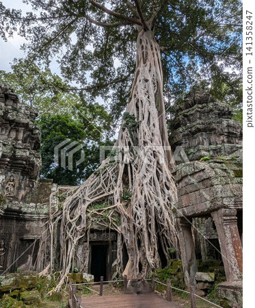 吳哥窟塔布隆寺 141358247
