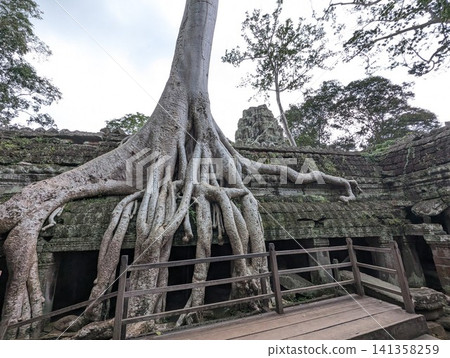 Angkor Wat Ta Prohm 141358259