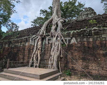 Angkor Wat Ta Prohm 141358261