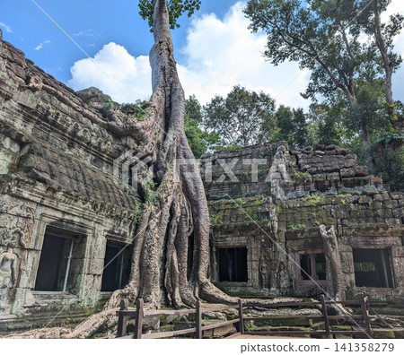 Angkor Wat Ta Prohm Angkor Wat Ta Prohm 141358279