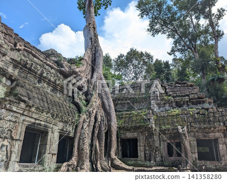 Angkor Wat Ta Prohm Angkor Wat Ta Prohm 141358280