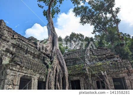 Angkor Wat Ta Prohm Angkor Wat Ta Prohm 141358281