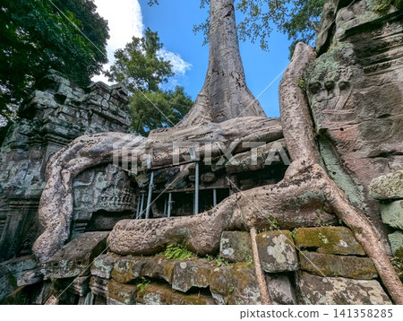 吳哥窟塔布隆寺 吳哥窟塔布隆寺 141358285