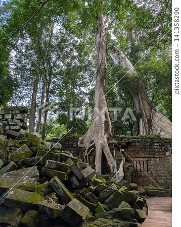 Angkor Wat Ta Prohm 141358290