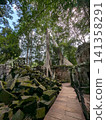 Angkor Wat Ta Prohm 141358291
