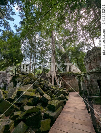 Angkor Wat Ta Prohm 141358291