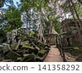 Angkor Wat Ta Prohm 141358292