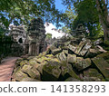 Angkor Wat Ta Prohm 141358293