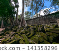 Angkor Wat Ta Prohm 141358296