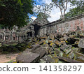 Angkor Wat Ta Prohm 141358297