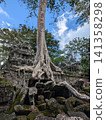 Angkor Wat Ta Prohm 141358298