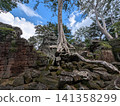Angkor Wat Ta Prohm 141358299