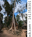 Angkor Wat Ta Prohm 141358301