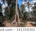 Angkor Wat Ta Prohm 141358302