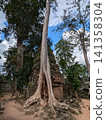 Angkor Wat Ta Prohm 141358304