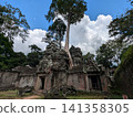 Angkor Wat Ta Prohm 141358305