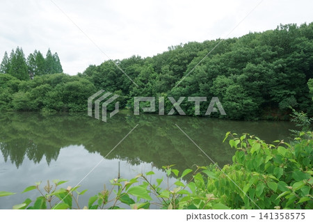 Trees reflected in the pond at Chayagasaka Park 141358575