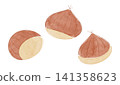 Cute and whimsical chestnut illustration in watercolor style 141358623
