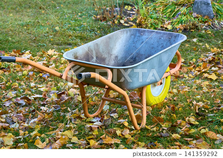 Fall cleaning.Wheelbarrow for removing autumn fallen leaves 141359292