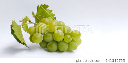 A ripe bunch of green grapes with its leaves, isolated against a white background. 141359735
