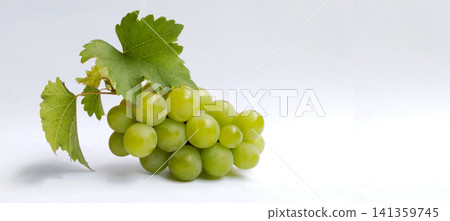 A cluster of fresh green grapes with their leaves against a white background. 141359745
