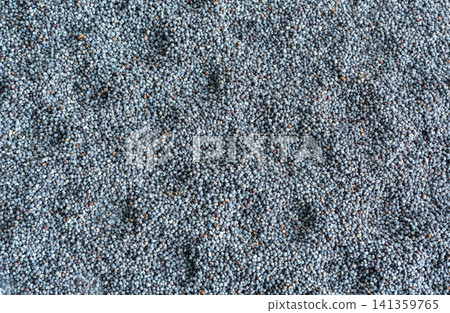 Macro Detailed Poppy Seed Pattern Top View Macro Detailed Poppy Seed Pattern Top View 141359765